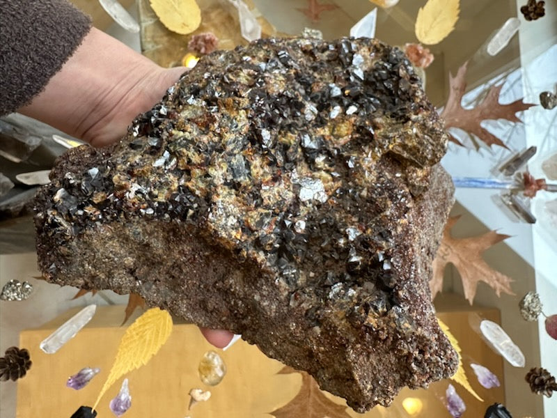 Hand holding a large hessonite garnet cluster with dark amber, brown, and translucent crystals on rough beige-brown matrix, surrounded by quartz points and autumn leaves on a glass surface.