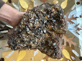 Dark brown hessonite garnet cluster with shiny, faceted crystals forming a rough triangular shape, held over a glass surface with fall leaves and quartz points beneath.