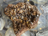 Hessonite garnet cluster with numerous small, deep reddish-brown crystals on a rough, golden-brown matrix, resting on a polished, translucent agate slab with gray and cream bands.