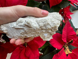 Hand holding a light gray elmwood matrix rock with a translucent calcite crystal cluster against a background of vibrant red poinsettia leaves.