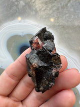 Hand holding a rough black and dark brown rock with translucent pink rhodochrosite crystals embedded, against a blurred gray and white banded agate background.