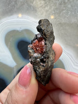 Hand holding a rough dark gray rock with a cluster of translucent deep pink rhodochrosite crystals embedded inside, set against a blurred soft white and gray agate background.
