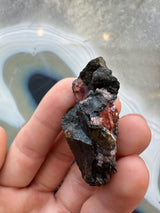 Hand holding a dark rough matrix rock embedded with translucent pink rhodochrosite crystals, against a blurred background with blue and white concentric patterns.