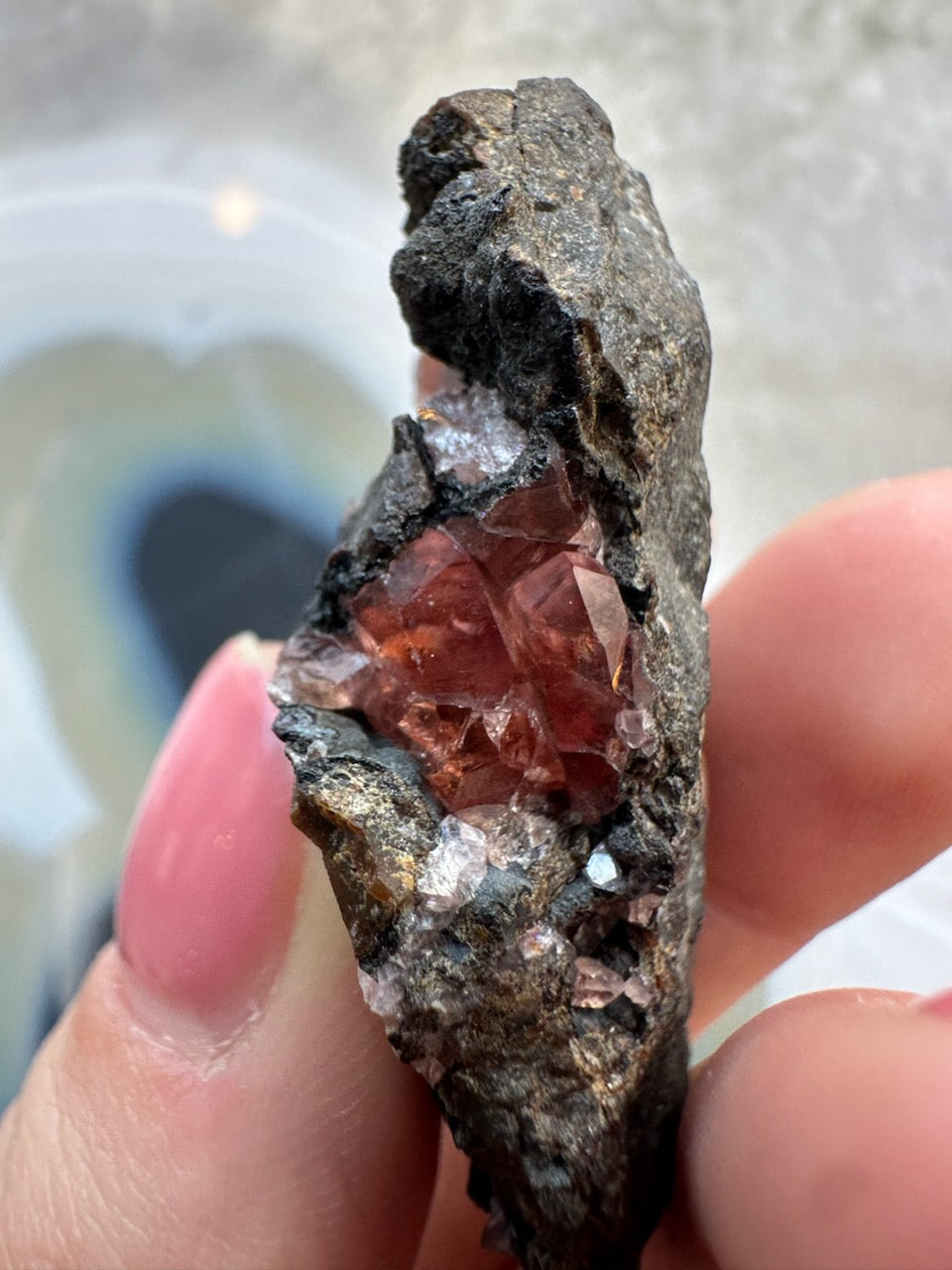 Hand holding a dark, rough rock containing a cluster of translucent, deep pink rhodochrosite crystals forming a gem-like interior.