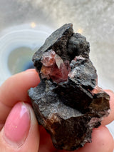 Close-up of a hand holding a dark, rough matrix rock with translucent pinkish-red rhodochrosite crystals embedded inside.