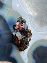 Dark matrix rock featuring translucent pink rhodochrosite crystals with geometric shapes, resting on a smooth, banded agate surface with white and blue-gray layers.