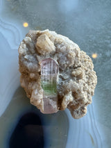 A pale beige, rough albite matrix with a single watermelon tourmaline crystal embedded, showing clear pink and green zones with vertical striations, photographed on a light blue agate surface.
