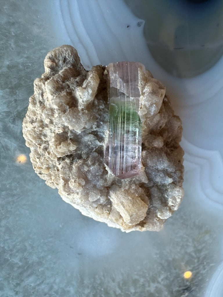 Rectangular watermelon tourmaline crystal with pink and green zones embedded in a textured beige albite matrix, resting on a blue and white agate surface.