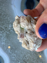 Hand holding a white albite matrix with a translucent watermelon tourmaline crystal showing pink and green hues embedded within it against a gray-blue agate surface.