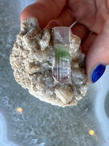 Hand holding a rough albite matrix with a translucent watermelon tourmaline crystal showing pink and green color zones embedded on its surface.
