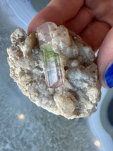 Hand holding a light beige albite matrix with a vertically oriented watermelon tourmaline crystal showing pink and green sections.