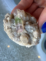 Green and pink watermelon tourmaline crystal embedded in a beige albite matrix held by a hand with blue-painted nails above a light gray surface.