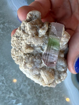Hand holding a beige, textured albite matrix with a translucent watermelon tourmaline crystal showing green and pink color zones embedded on one side.