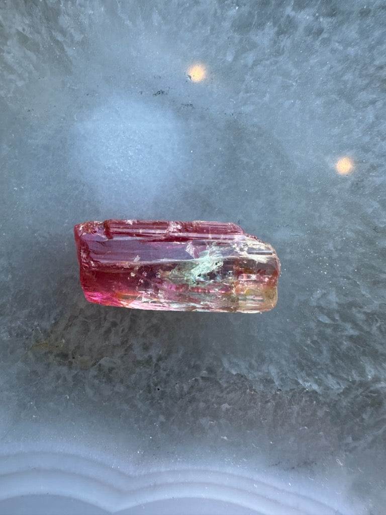 Small elongated watermelon tourmaline crystal showcasing a gradient from deep pink to transparent near the tip, resting on a textured pale gray surface.