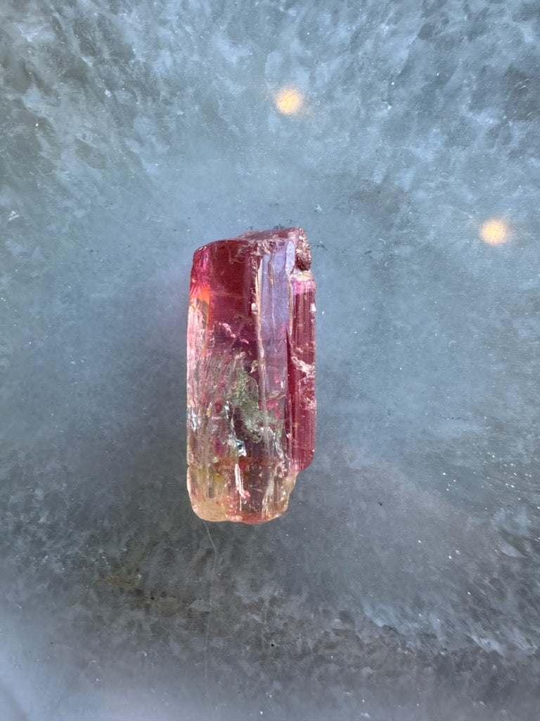 Rough watermelon tourmaline crystal displaying a gradient from pinkish-red at top to pale green at the base, resting on a textured gray surface with soft reflections.