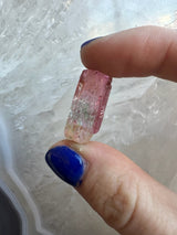 Pink and green watermelon tourmaline crystal held between thumb and forefinger with blue nail polish, set against a textured white crystalline background.