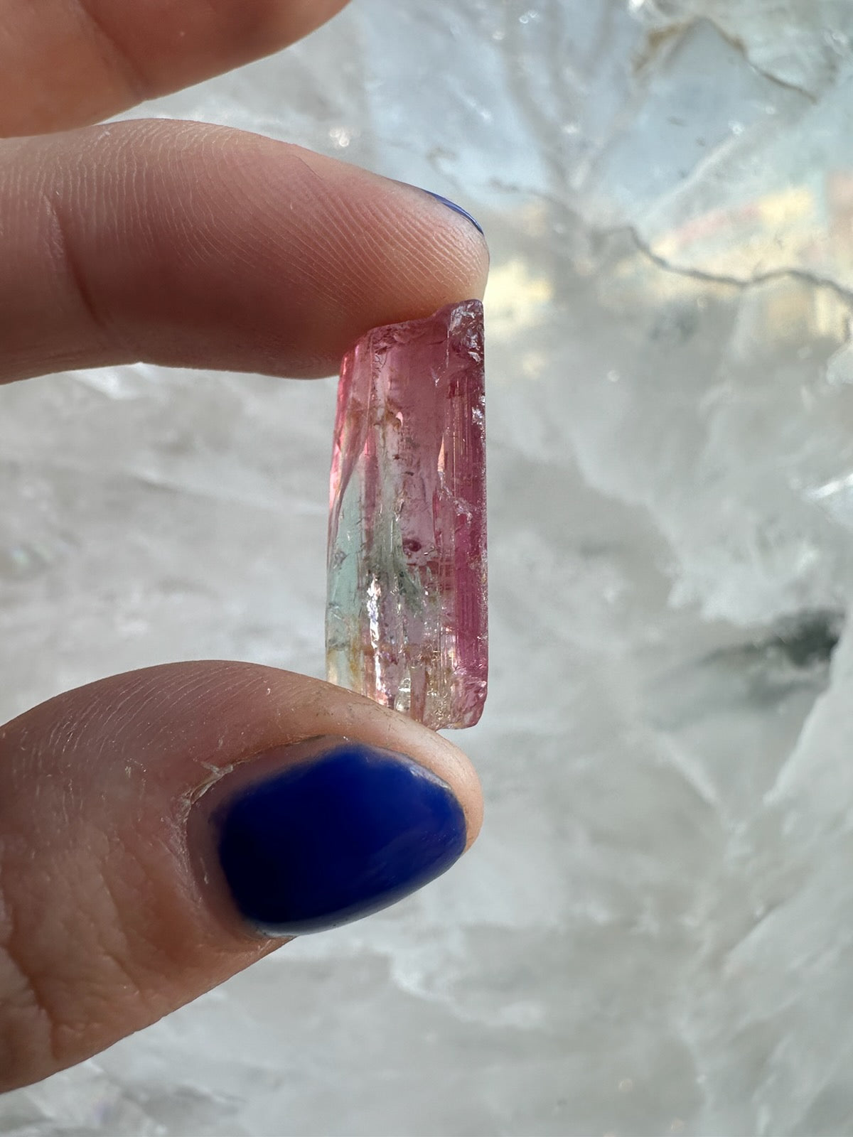 Close-up of a slender, transparent watermelon tourmaline crystal held between fingers with dark blue nail polish, showing a gradient from pink to green hues.