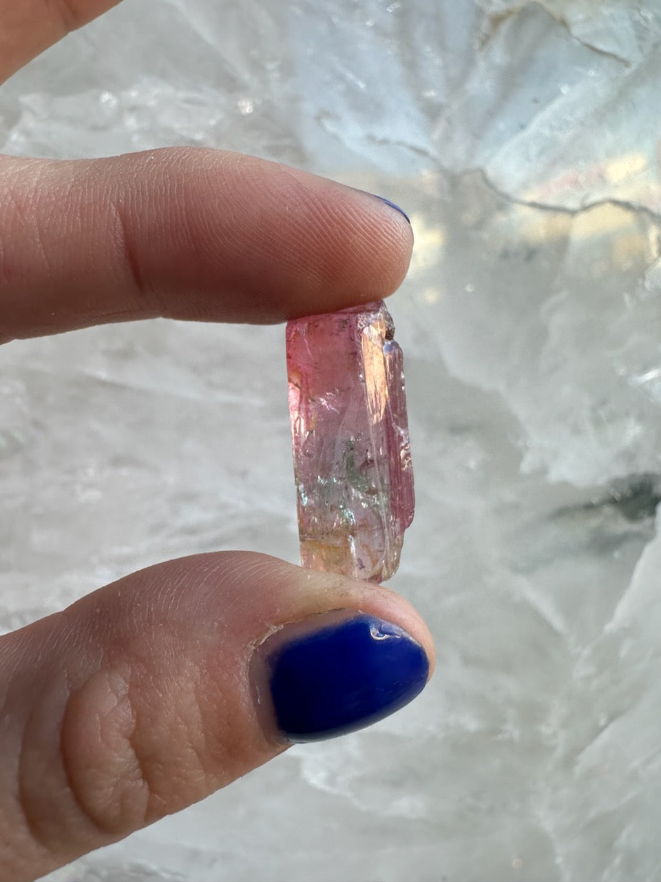 Close-up of a hand with blue nail polish holding a transparent pink and green watermelon tourmaline crystal against a pale, textured background.
