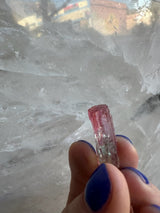 Close-up of a small watermelon tourmaline crystal held between fingers with blue nail polish, showing its natural pink and green color gradient against a translucent white crystal background.