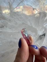Hand with blue-painted nails holding a small watermelon tourmaline crystal showing its pink and green color sections against a translucent white crystalline background.