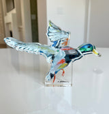Clear acrylic tabletop sculpture of a mallard duck in flight with multicolored painted details including green head and orange accents, standing on a clear rectangular base.