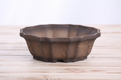 Willow Bonsai Ceramics Flower Design Bonsai Pot 6.5 Inch