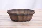 Brown ceramic bonsai pot with a scalloped rim and textured sides, sitting on a light wooden surface against a pale background.