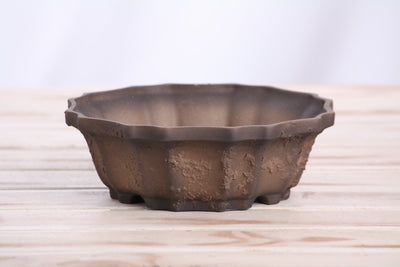 Willow Bonsai Ceramics Flower Design Bonsai Pot 6.5 Inch