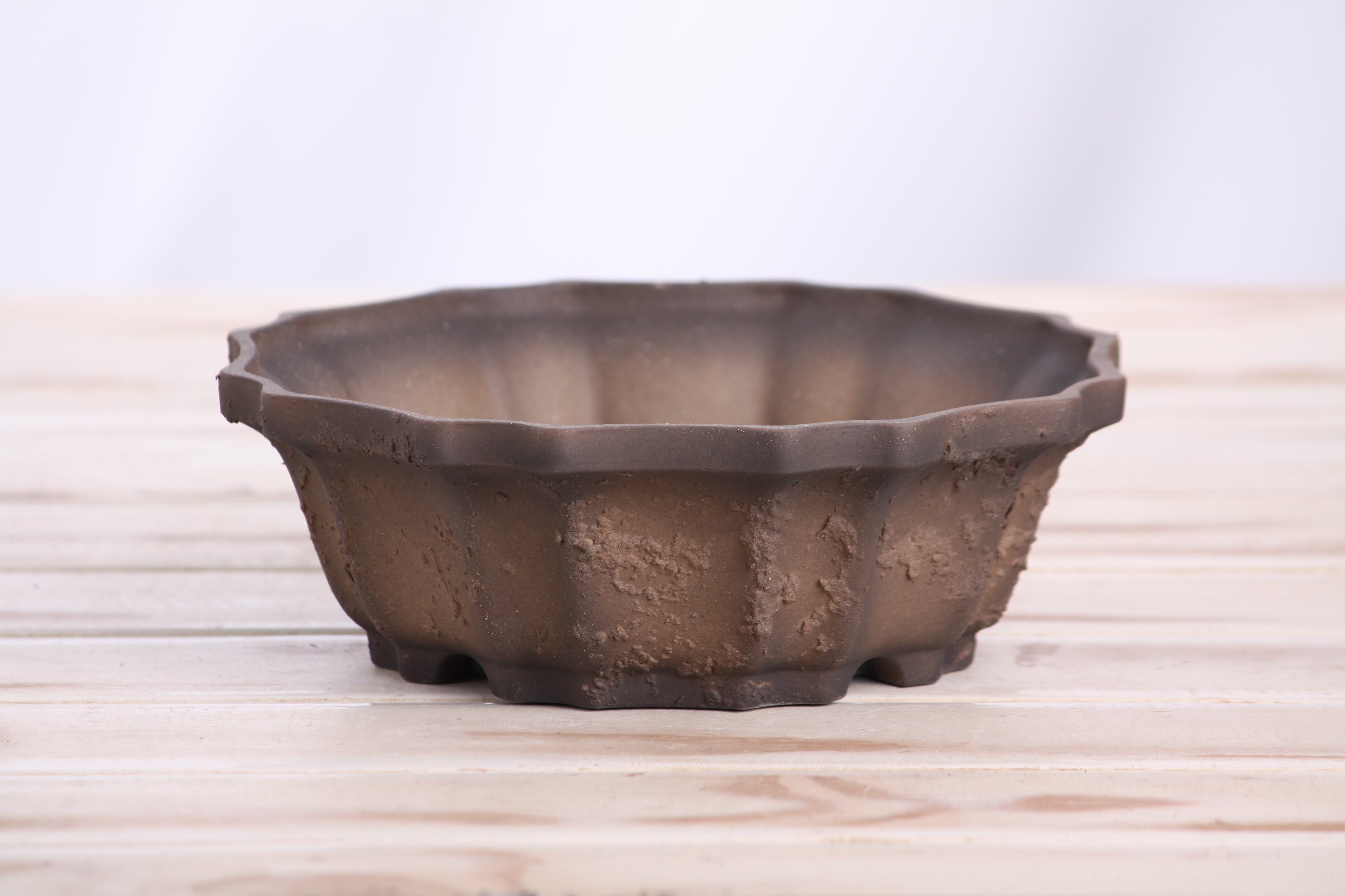 Willow Bonsai Ceramics Flower Design Bonsai Pot 6.5 Inch