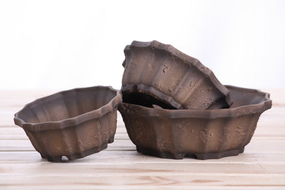 Willow Bonsai Ceramics Flower Design Bonsai Pot 6.5 Inch