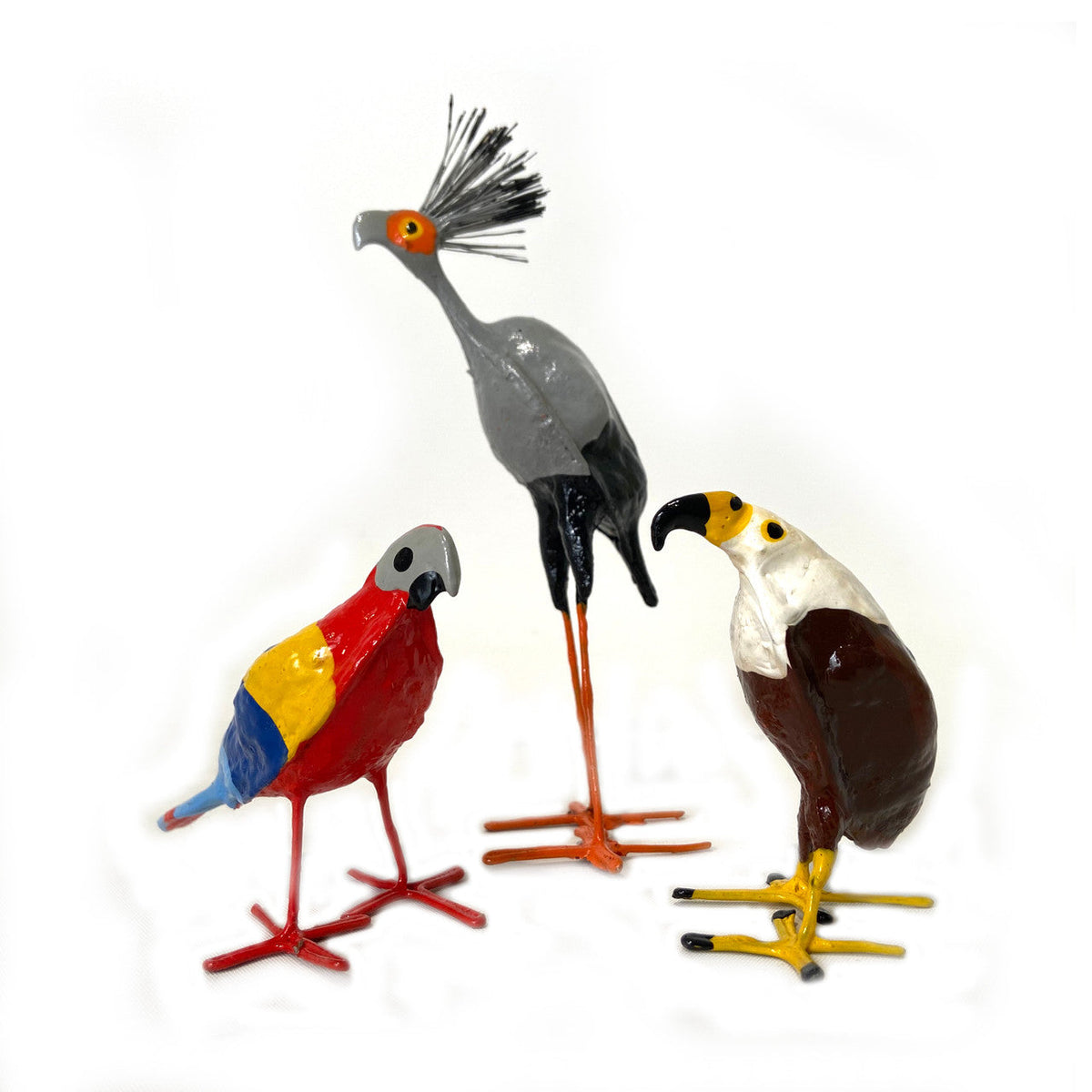 Seedpod Macaw by Mbare Ltd - product image 4 for Resin Society