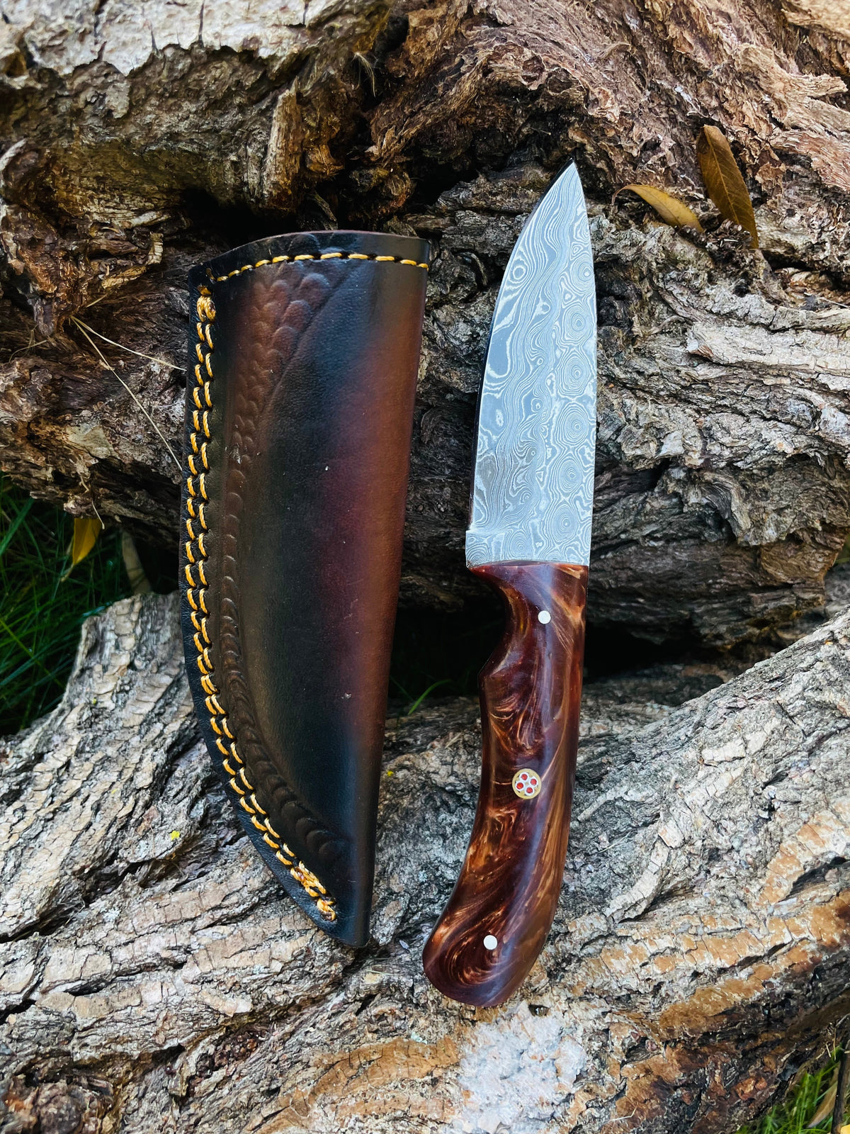 Titan TK-053 hand forged Damascus knife showcasing drop-style blade and brown burl acrylic handle with brass pins