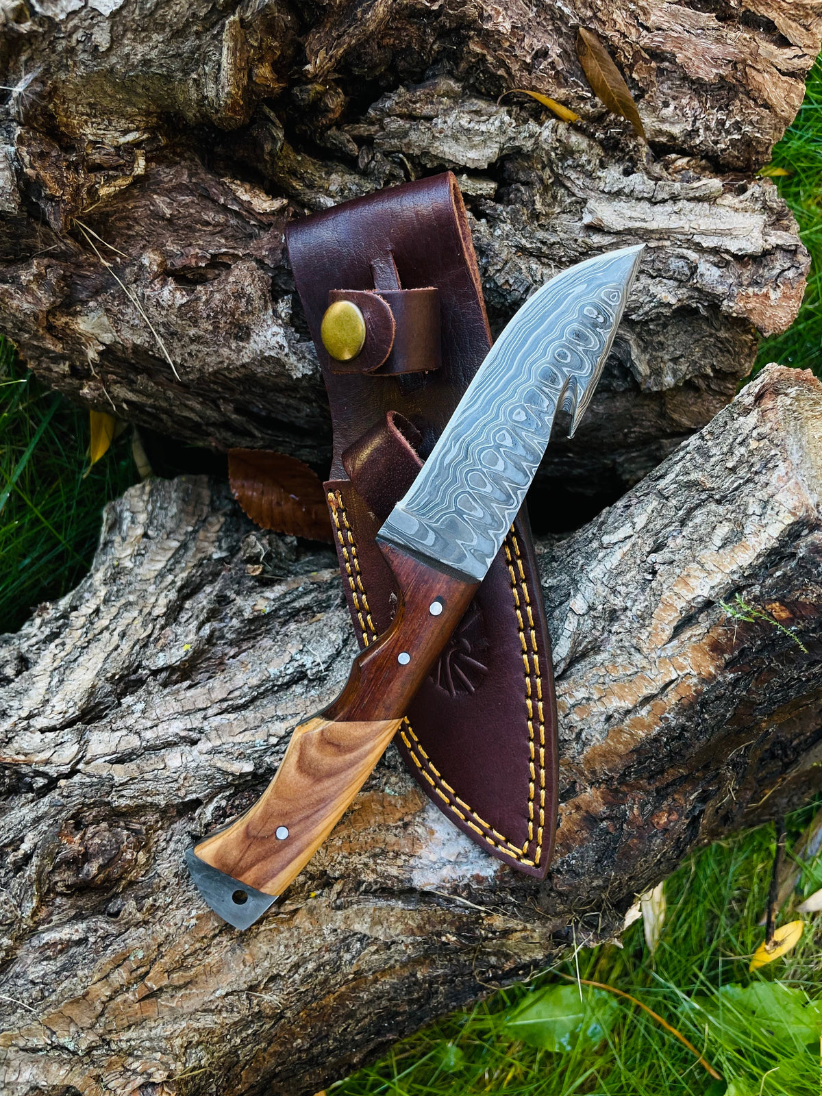 Damascus Steel Guthook Skinning TK-056 (1) knife showing detailed damascus blade and wooden handle