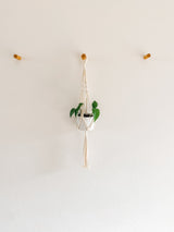 White ceramic pot with green leafy plant suspended in cream macrame hanging planter against a plain beige wall with three wooden pegs.