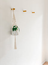 White macrame hanging planter with green leaves suspended from a wooden peg on a plain white wall, next to two empty wooden pegs.