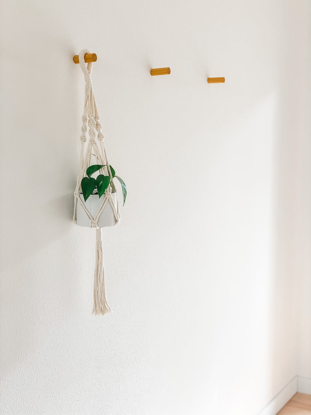 Macrame Hanging Planter holding a plant pot displayed indoors