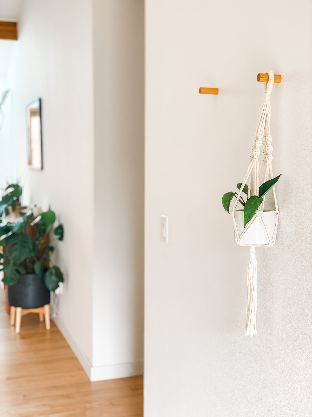 White macrame hanging planter with green leaves suspended from a wooden peg on a white wall, with hardwood floor and blurred potted plants in the background.