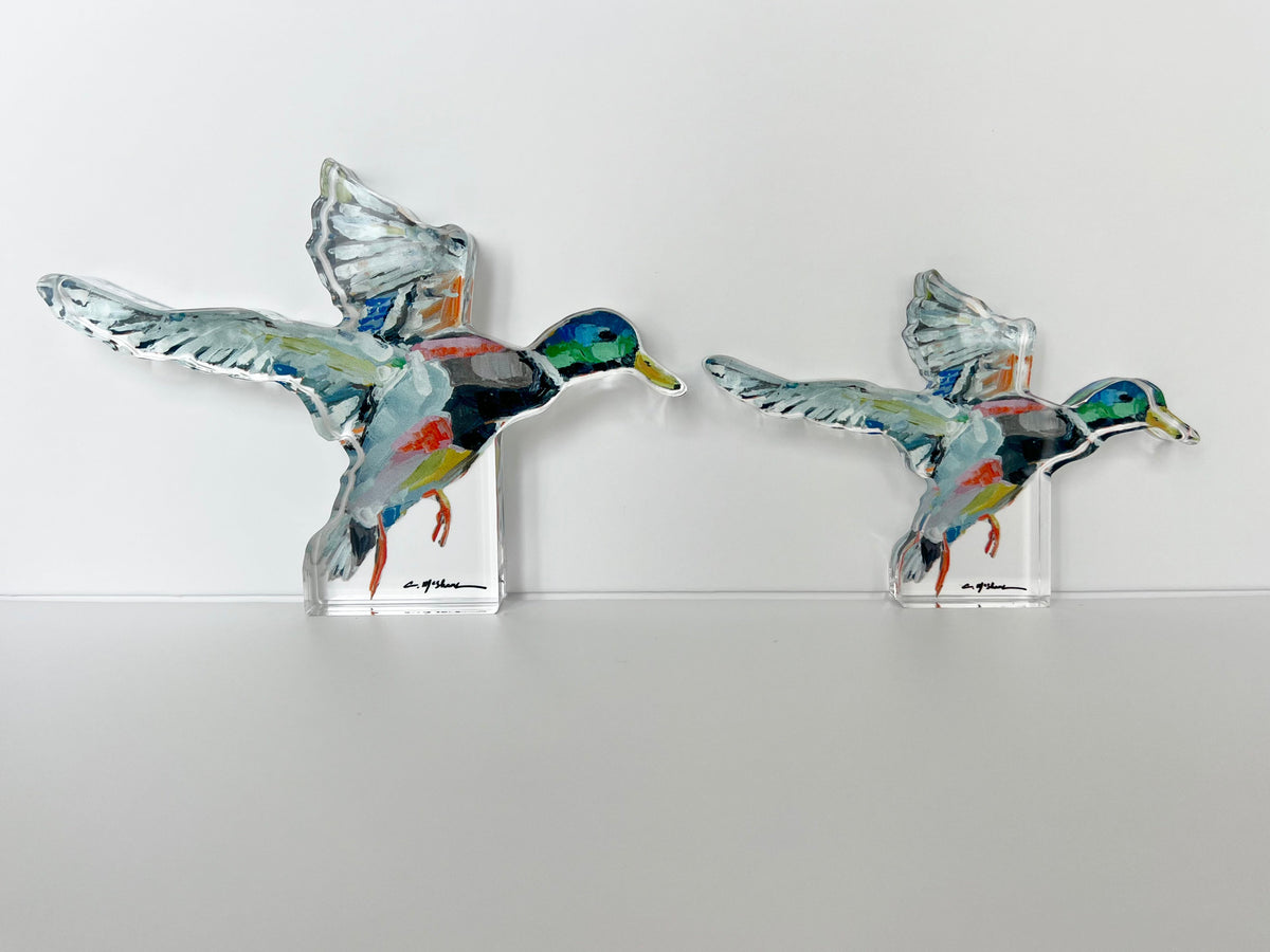 Two clear acrylic mallard duck sculptures in flight with colorful painted details, displayed against a white wall on a white surface.