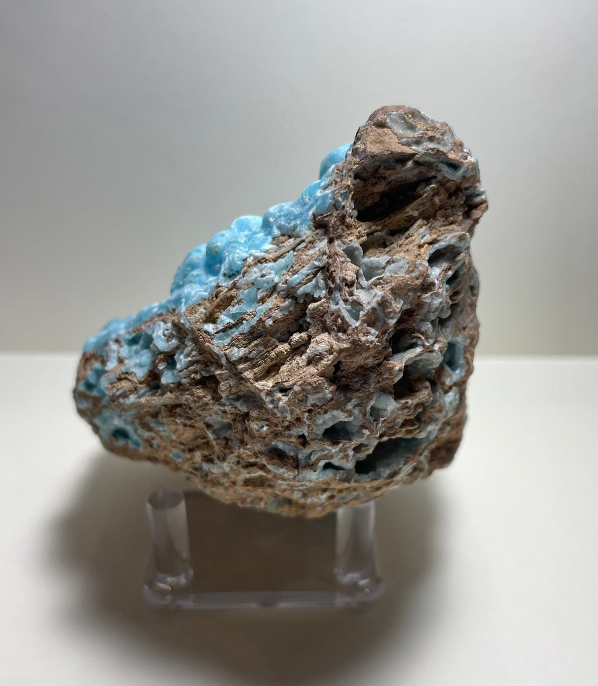 Botryoidal bright blue hemimorphite crystal formations partly embedded in a rough, porous brown matrix, displayed upright on a clear stand against a neutral background.