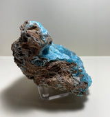 Botryoidal blue hemimorphite mineral specimen with rough brown matrix and smooth, rounded bright blue formations resting on a clear plastic stand against a plain background.