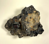 Rough Melanite Garnet cluster with dark black cubic crystals embedded in a textured gray-brown mineral matrix, shown against a plain light background.