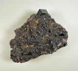 Dark melanite garnet cluster with black cubic crystals on a textured, granular brown and gray matrix against a plain white background.