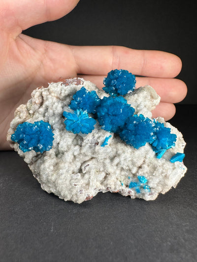 Cavansite with Stilbite on Matrix from Pune, Maharashtra, India by Rare Earth Gallery - product image 4 for Resin Society