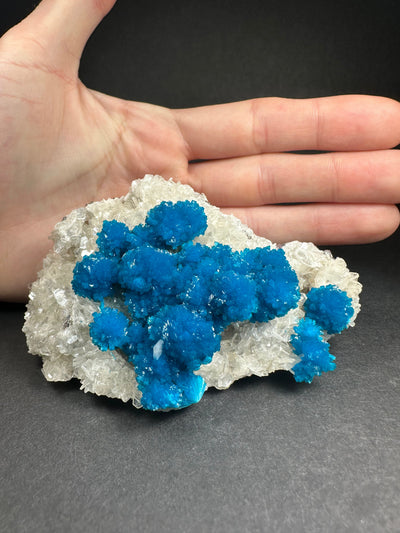 Cavansite with Stilbite on Matrix from Pune, Maharashtra, India by Rare Earth Gallery - product image 4 for Resin Society