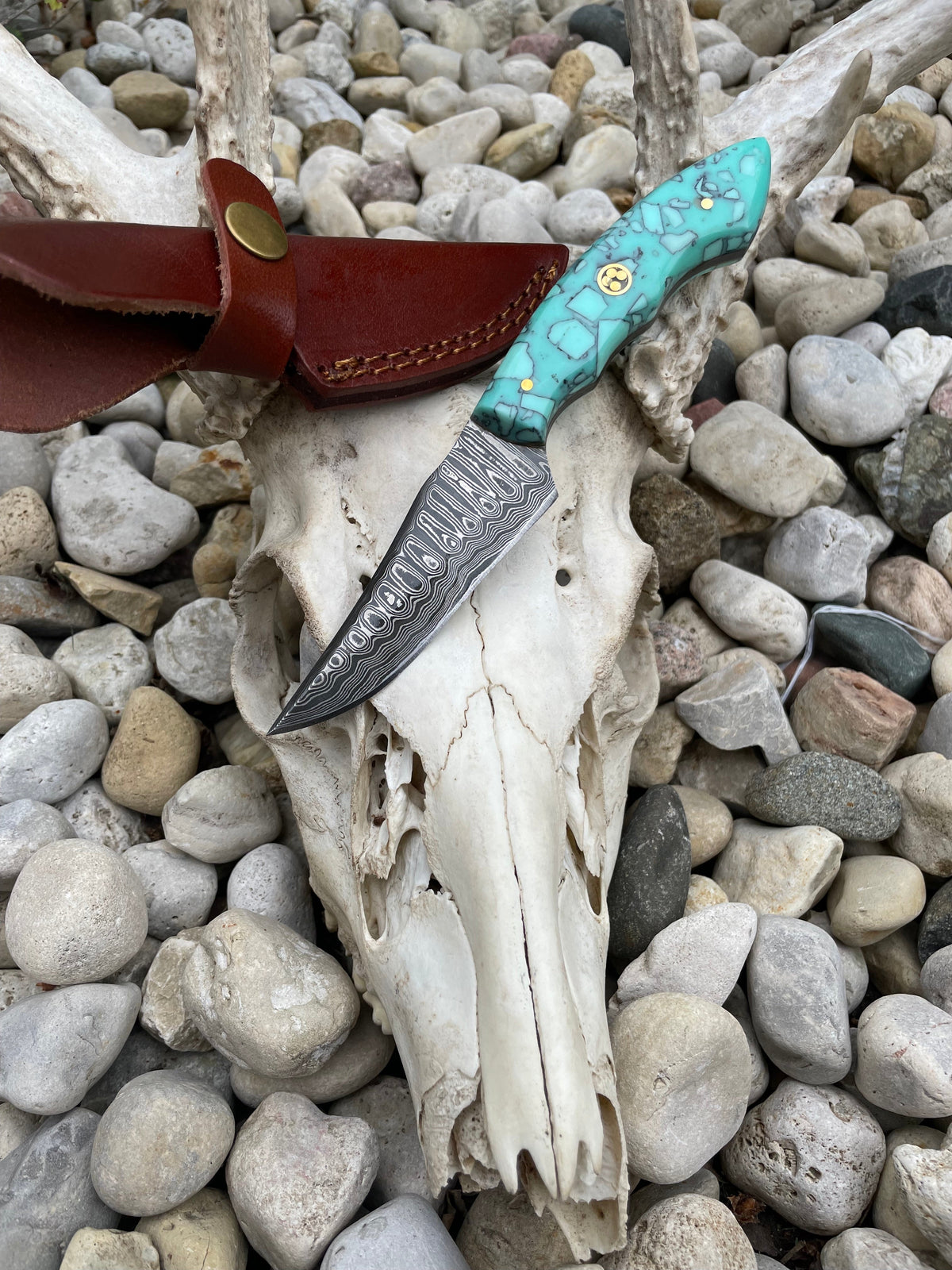 Arrival (New) TD-706 hunting and skinning knife with layered Damascus steel blade and custom acrylic handle
