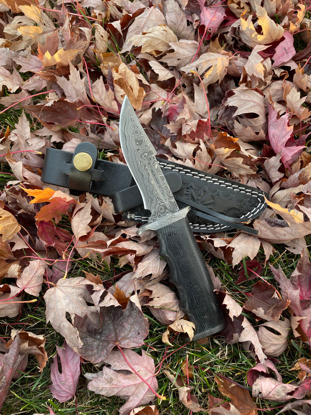 Darkwood Sentinel TK-211 fixed blade knife with Damascus steel blade and dark micarta handle resting on autumn leaves