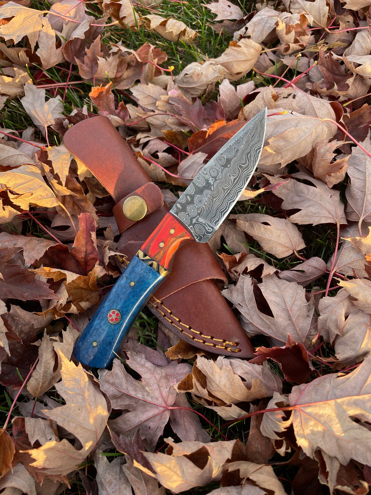 Aurora Blade TK-212 knife by Titan with hand-forged Damascus steel blade and blue-red Micarta handle shown with brown leather sheath