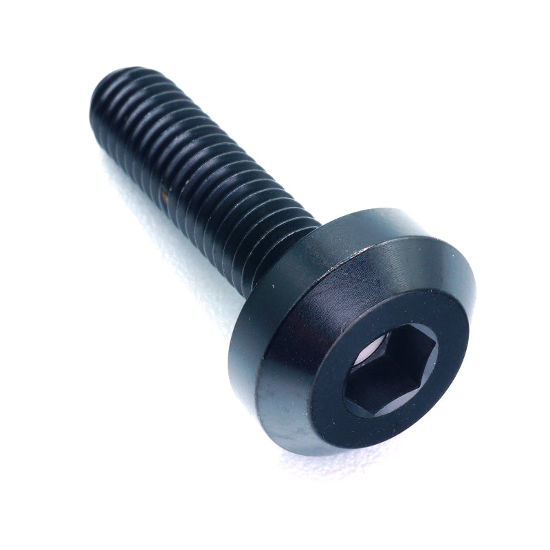 M6 x 1.00 x 24mm Titanium Motor Head Bolt in polished finish