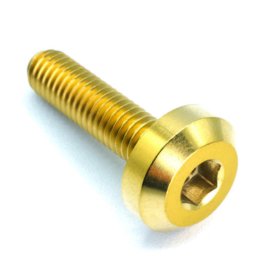 M6 x 1.00 x 24mm Titanium Motor Head Bolt in polished finish