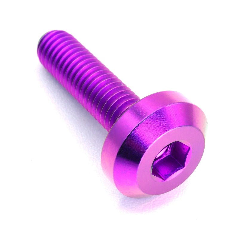 M6 x 1.00 x 24mm Titanium Motor Head Bolt in polished finish